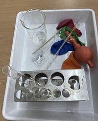 Bandeja práctica levaduras