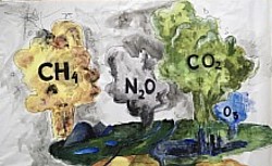 Gases contaminante